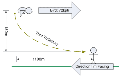 Bird Crap:
Analyzed