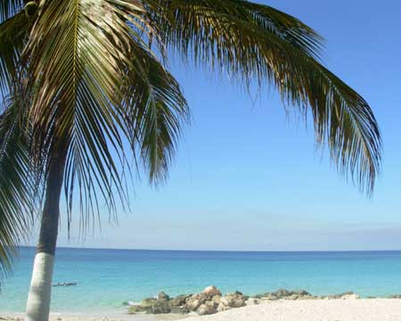 The beach just outside our room in
Aruba.