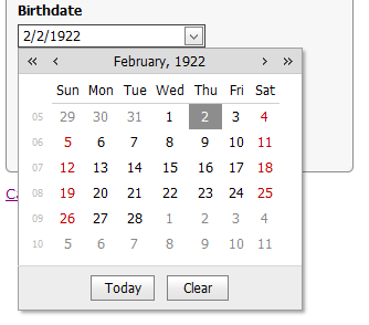 DevExpress date picker.
SHINY.