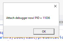 Attach debugger now!
