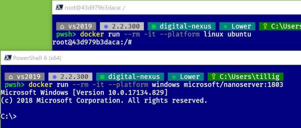 Windows and Linux containers - side by side!